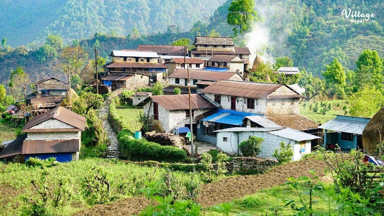 Village Experience